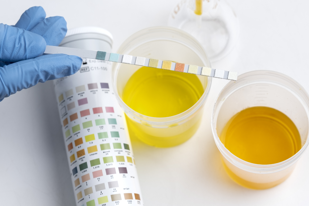 New Online Exclusive Product – Quick Fix MAX 4 Ounces of Synthetic Urine